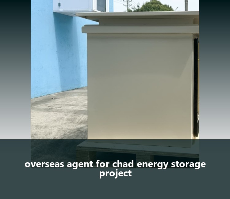 overseas agent for chad energy storage project