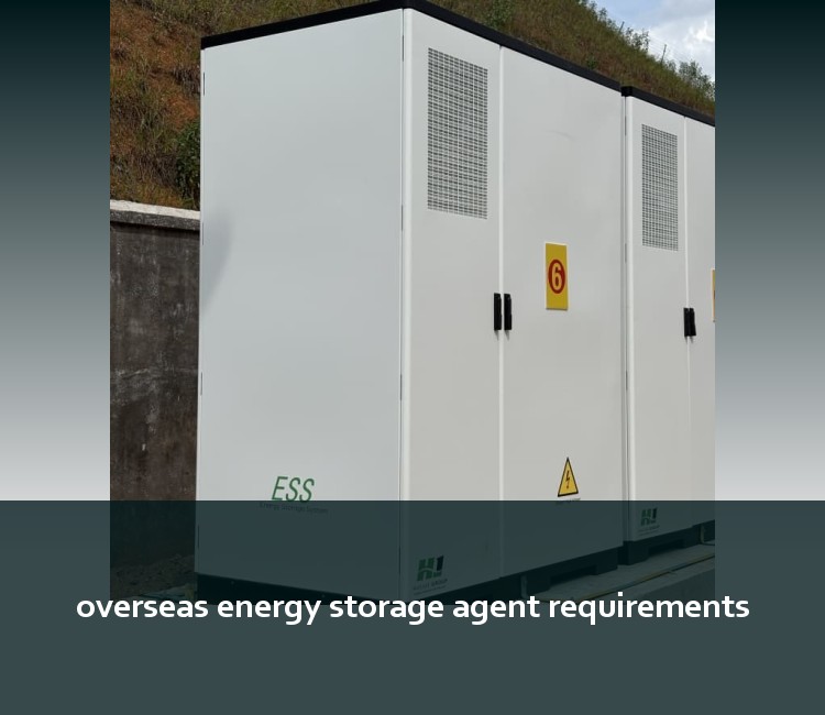 overseas energy storage agent requirements