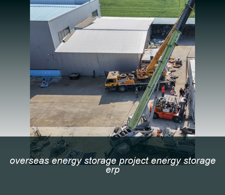 overseas energy storage project energy storage erp