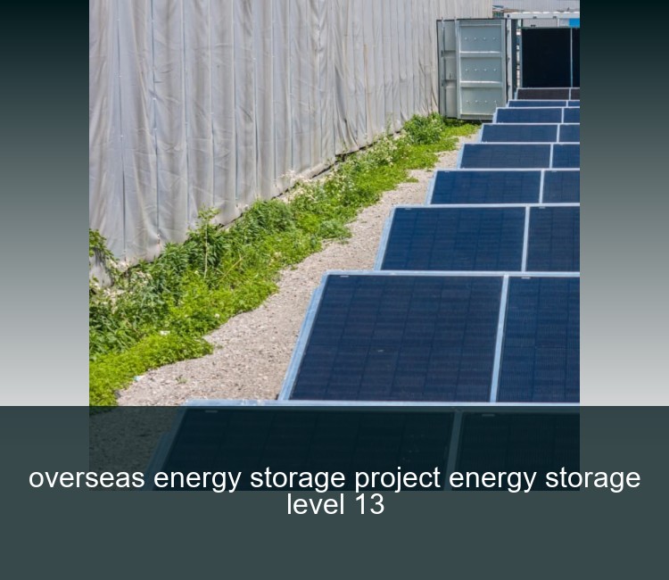 overseas energy storage project energy storage level 13
