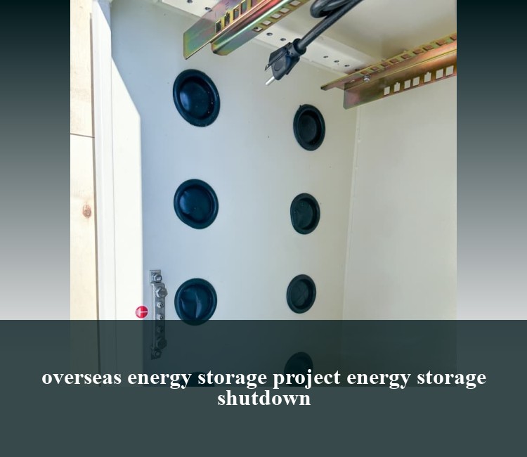 overseas energy storage project energy storage shutdown