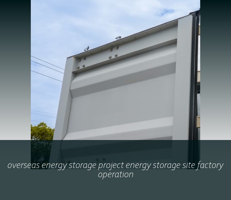 overseas energy storage project energy storage site factory operation