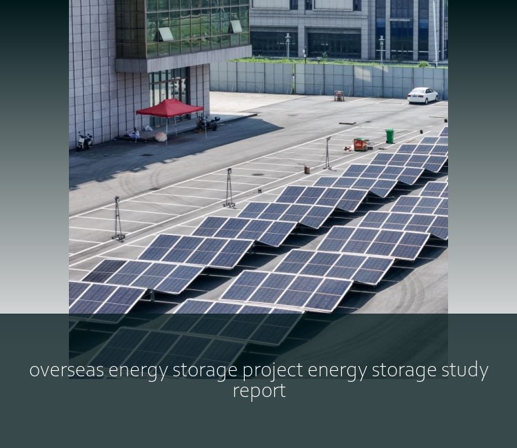 overseas energy storage project energy storage study report