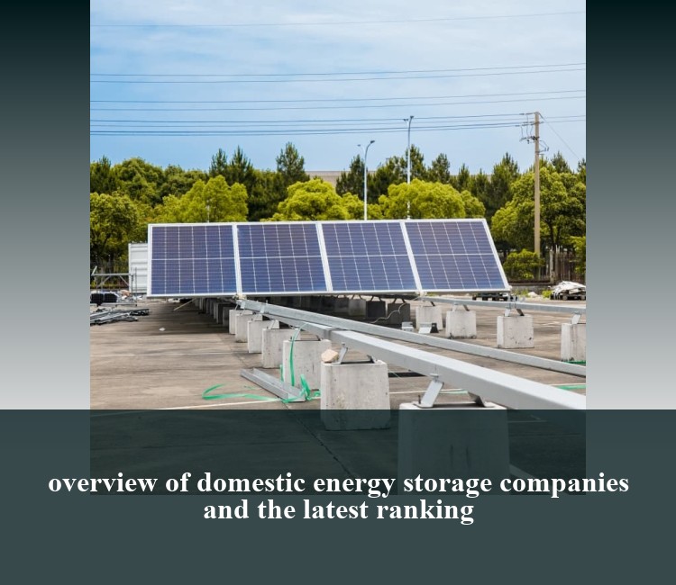 overview of domestic energy storage companies and the latest ranking