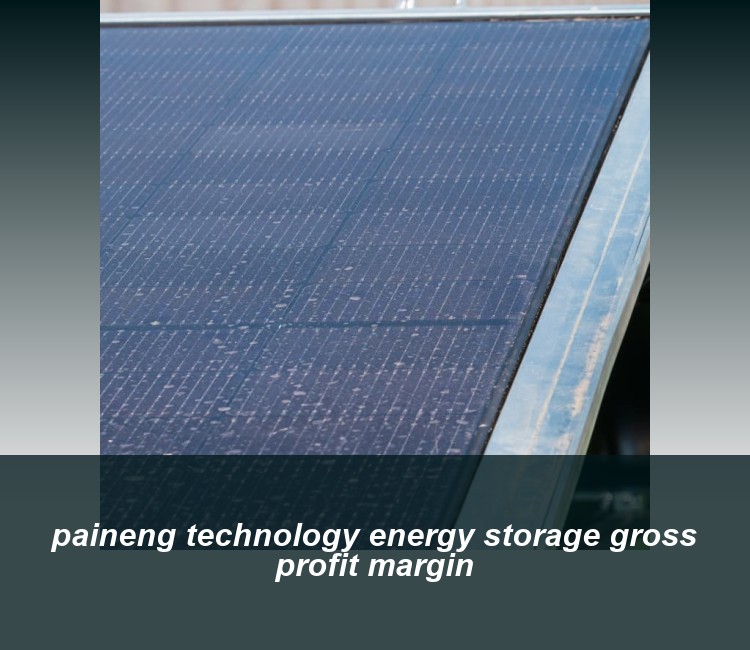 paineng technology energy storage gross profit margin