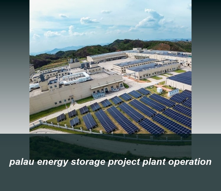 palau energy storage project plant operation