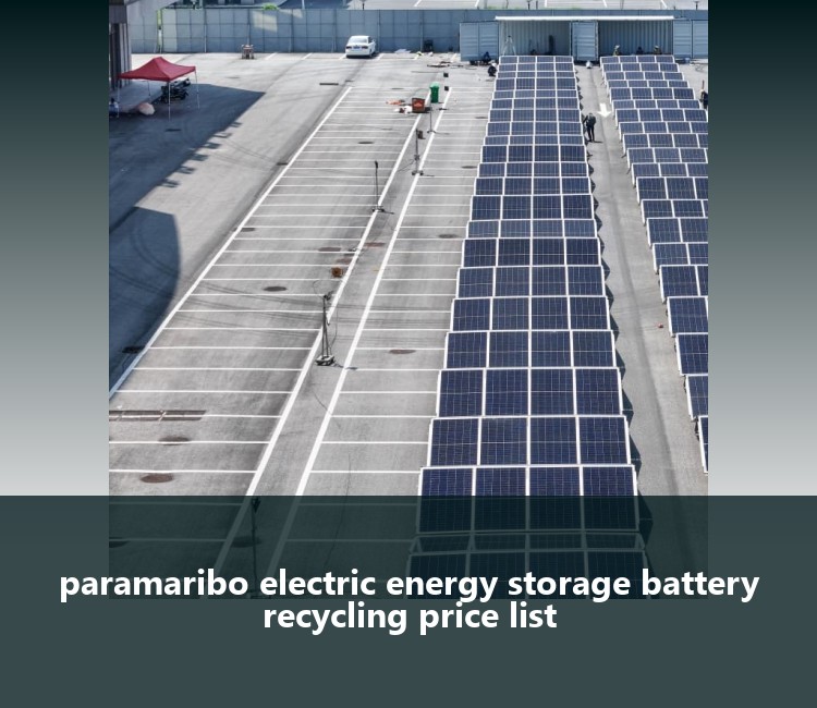 paramaribo electric energy storage battery recycling price list