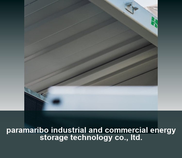 paramaribo industrial and commercial energy storage technology co., ltd.