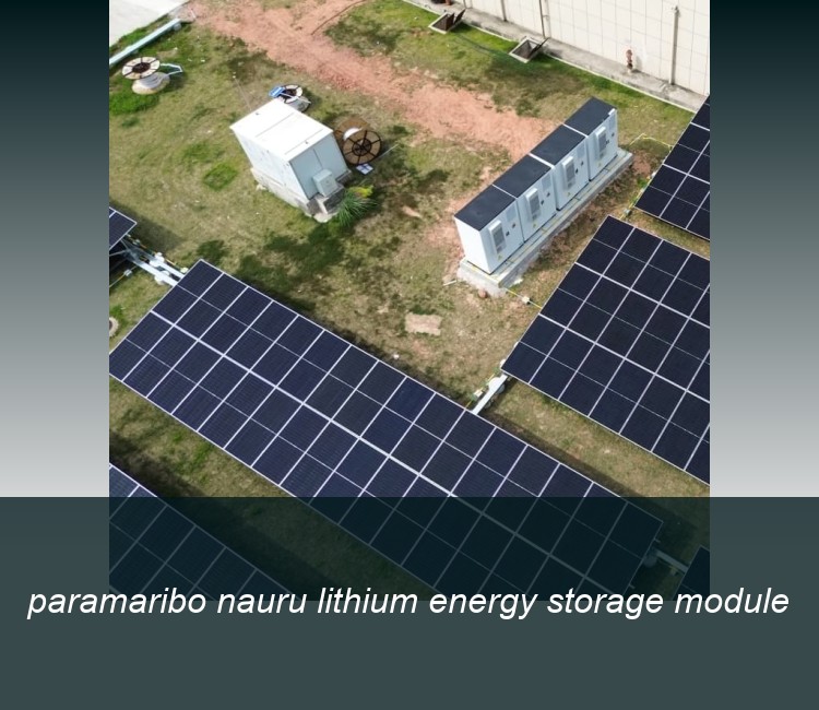paramaribo nauru lithium energy storage module