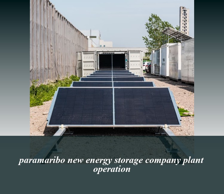 paramaribo new energy storage company plant operation