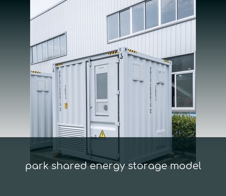 park shared energy storage model