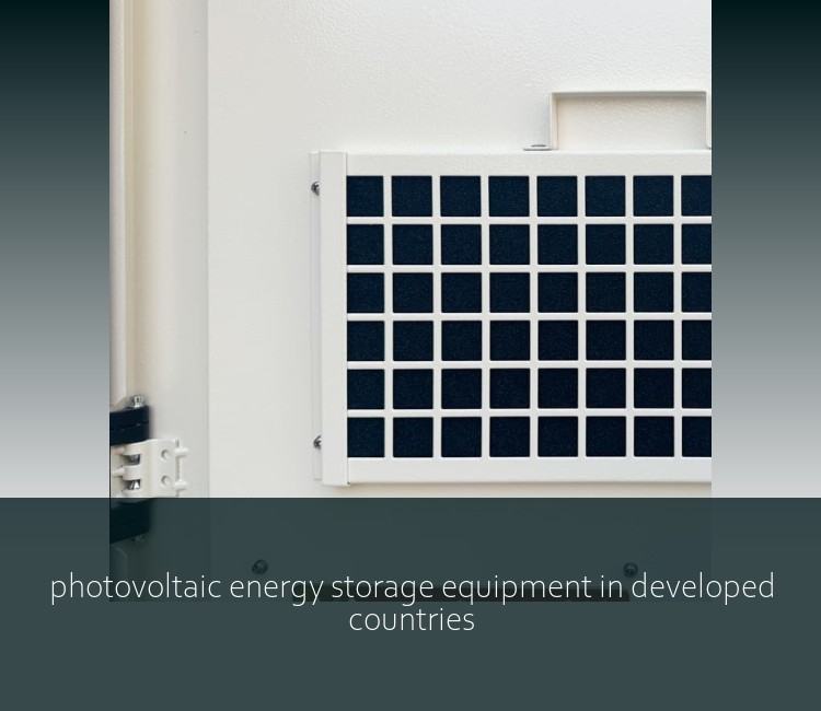 photovoltaic energy storage equipment in developed countries