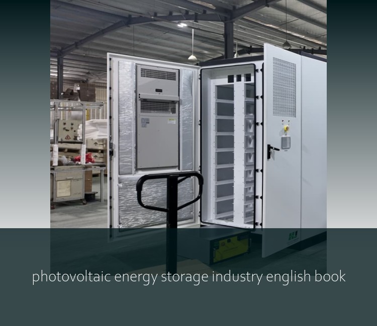 photovoltaic energy storage industry english book
