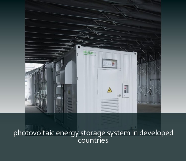 photovoltaic energy storage system in developed countries