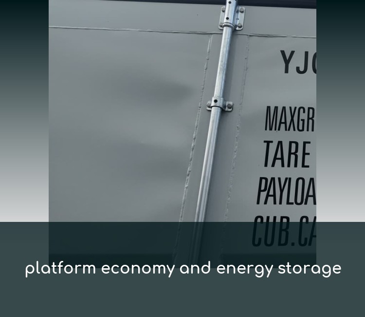 platform economy and energy storage