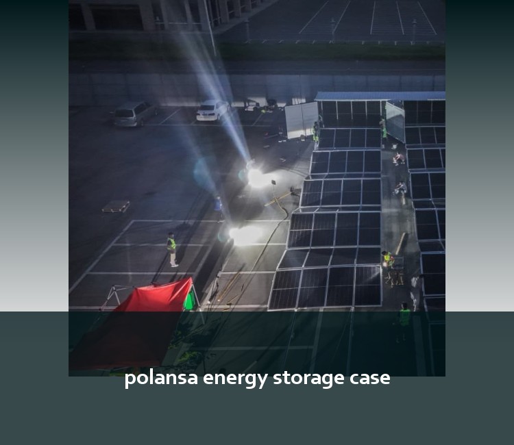 polansa energy storage case