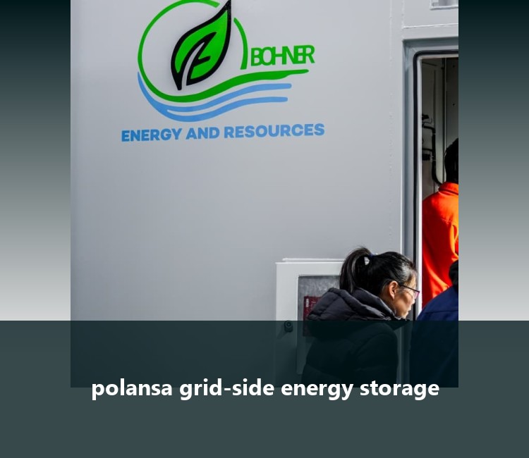 polansa grid-side energy storage