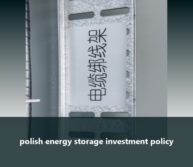 polish energy storage investment policy