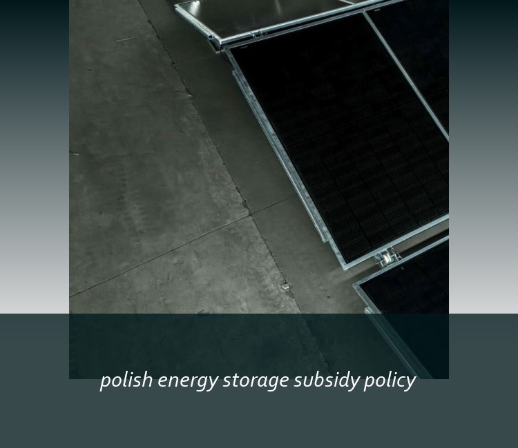 polish energy storage subsidy policy
