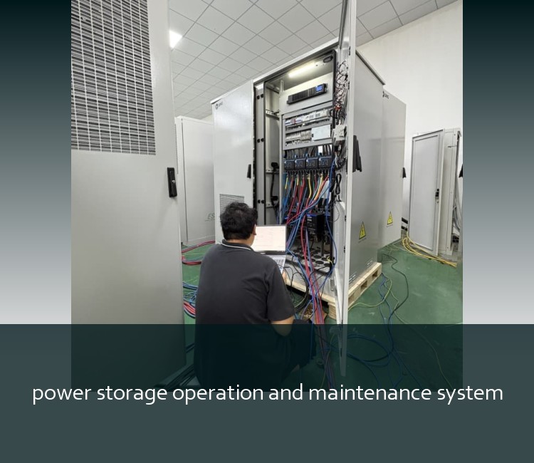 power storage operation and maintenance system