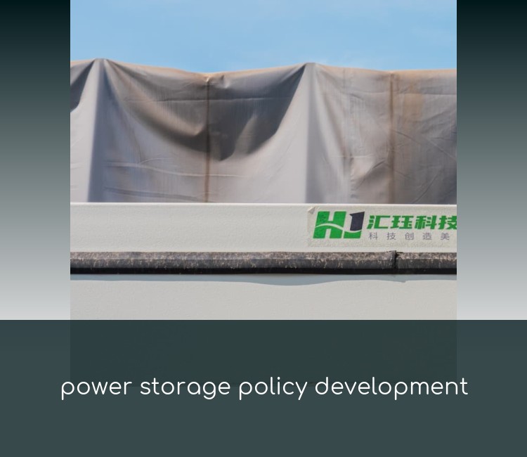 power storage policy development