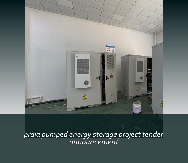 praia pumped energy storage project tender announcement