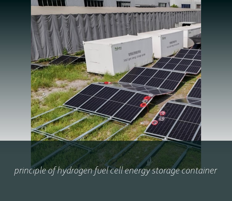 principle of hydrogen fuel cell energy storage container