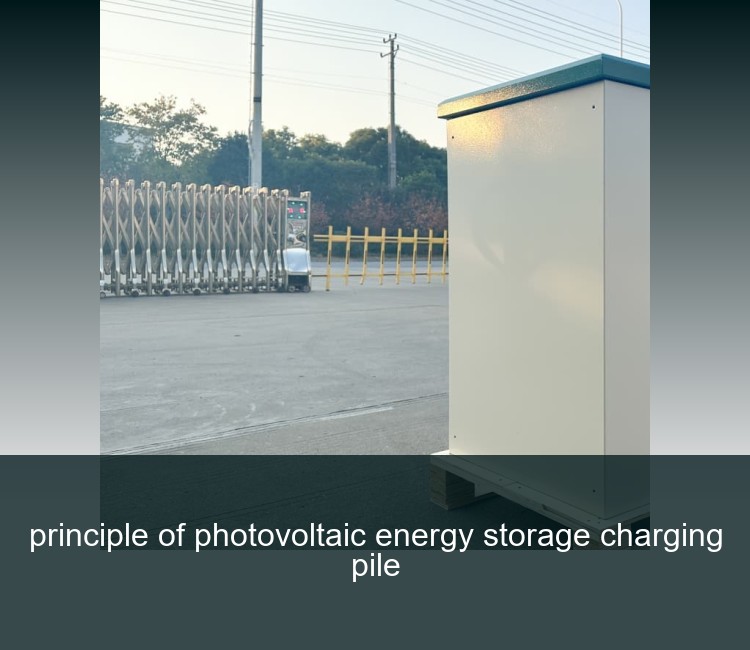 principle of photovoltaic energy storage charging pile