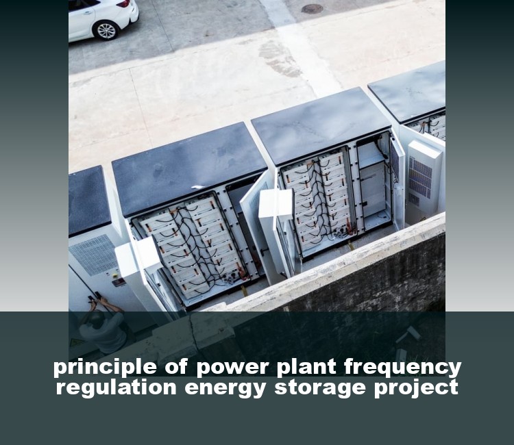 principle of power plant frequency regulation energy storage project