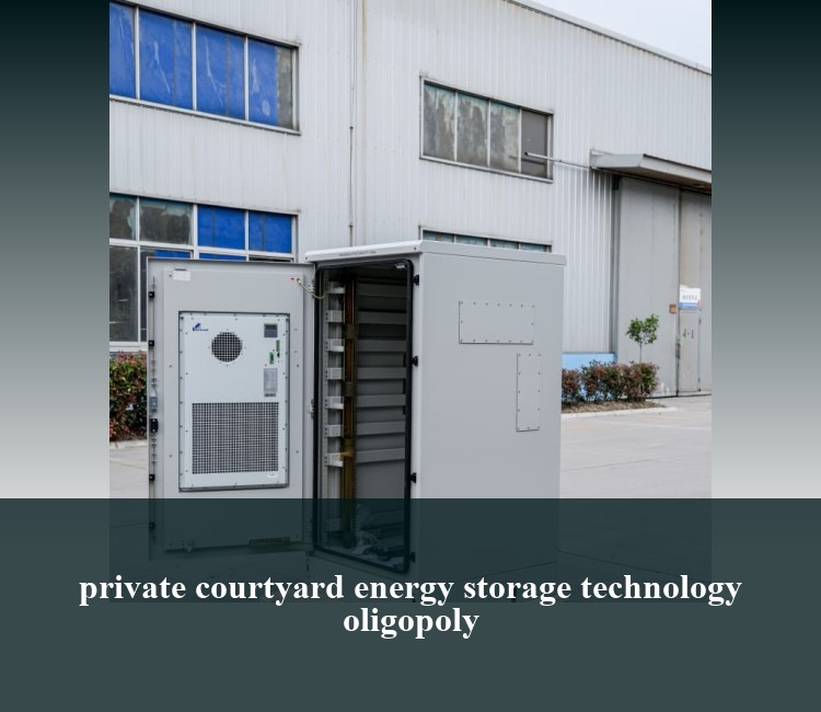 private courtyard energy storage technology oligopoly