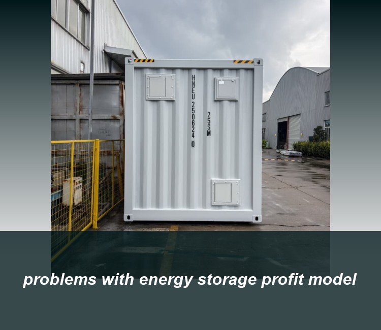 problems with energy storage profit model