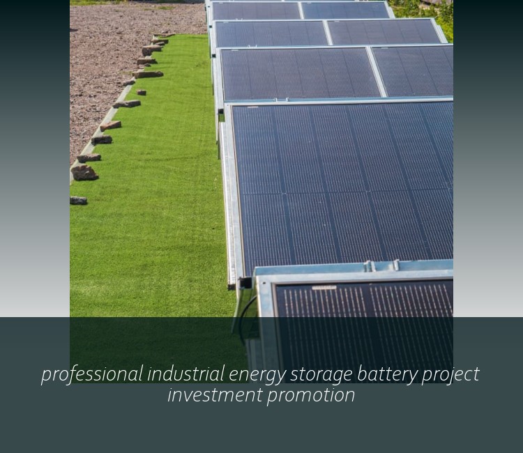 professional industrial energy storage battery project investment promotion