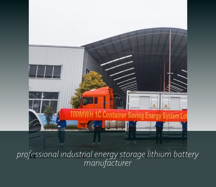 professional industrial energy storage lithium battery manufacturer
