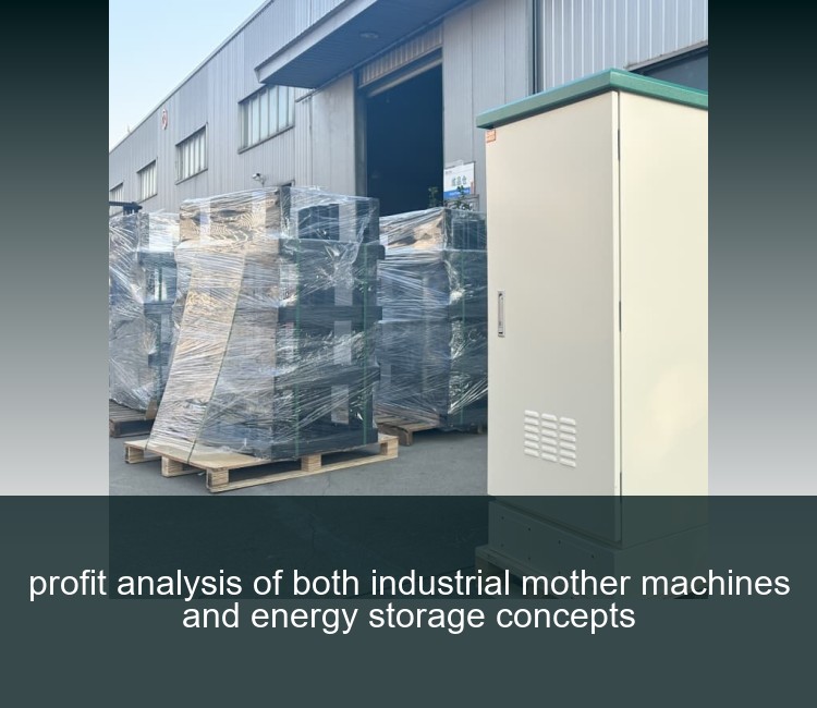 profit analysis of both industrial mother machines and energy storage concepts
