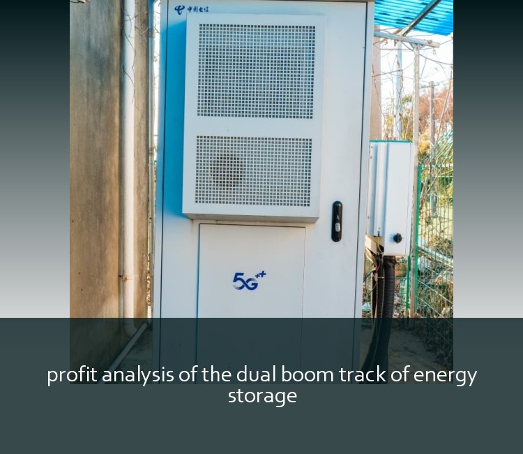 profit analysis of the dual boom track of energy storage