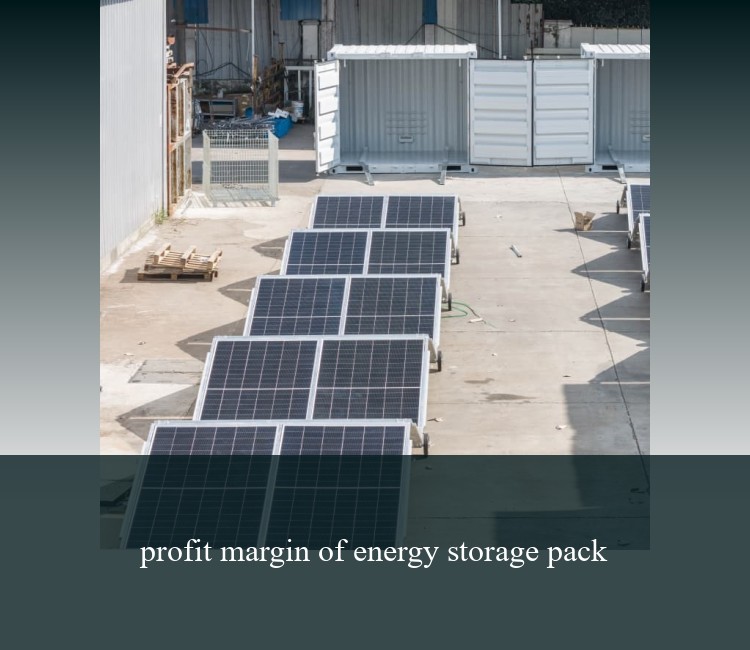 profit margin of energy storage pack