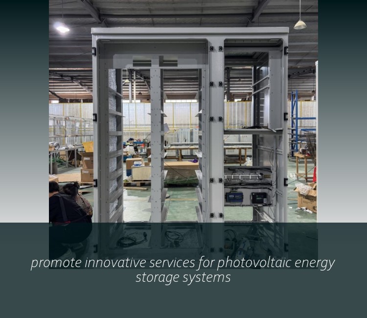 promote innovative services for photovoltaic energy storage systems