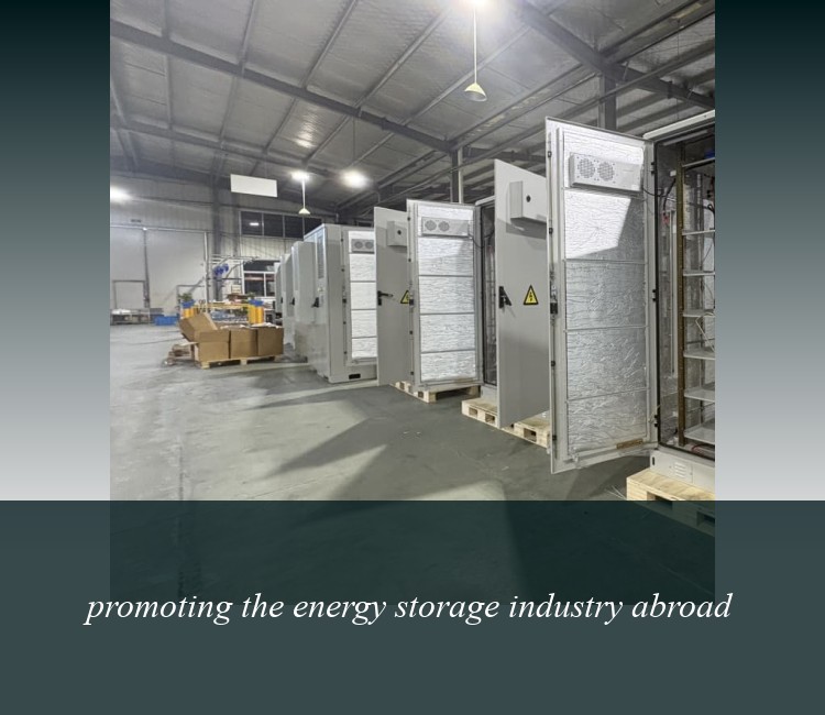 promoting the energy storage industry abroad