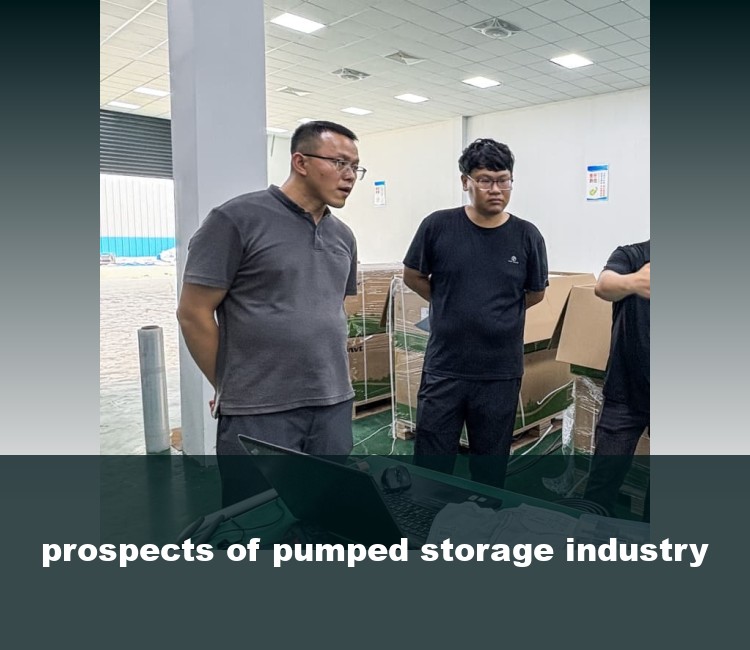 prospects of pumped storage industry