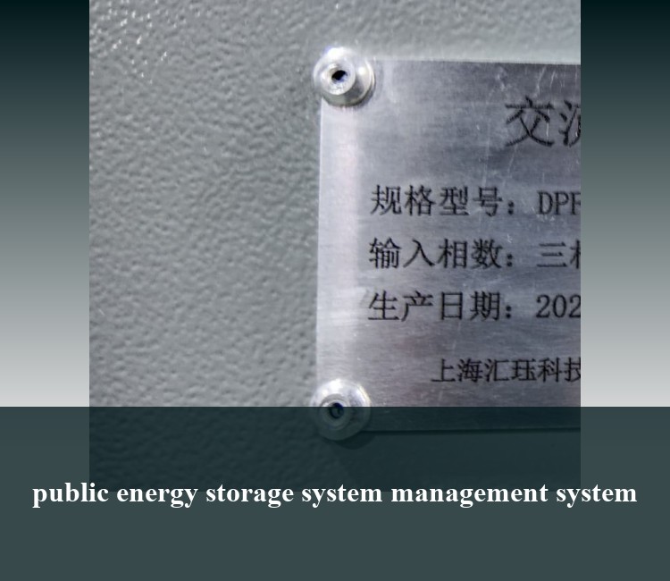 public energy storage system management system