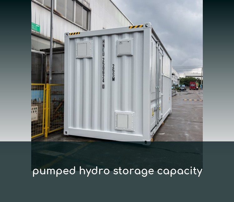 pumped hydro storage capacity