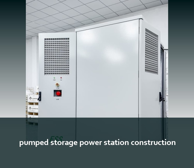 pumped storage power station construction