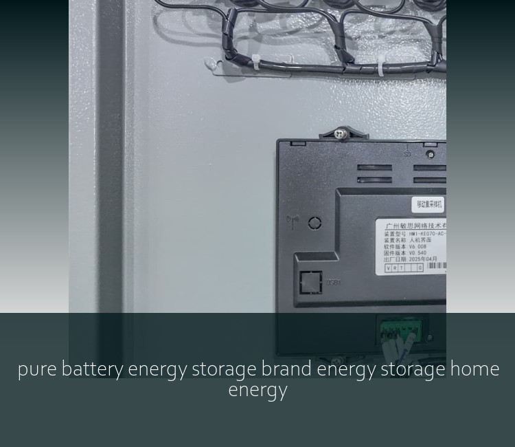pure battery energy storage brand energy storage home energy