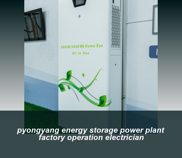 pyongyang energy storage power plant factory operation electrician