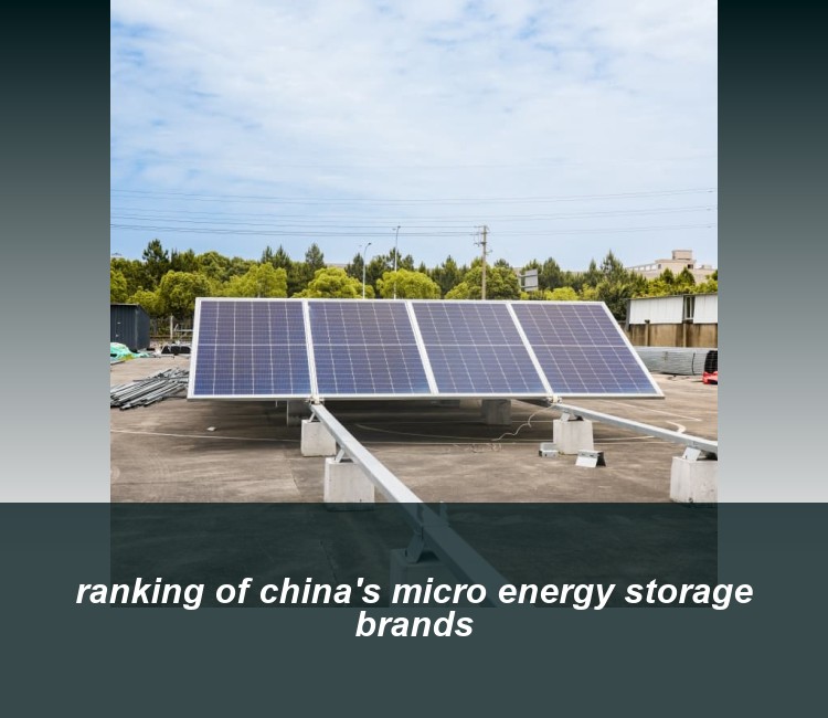 ranking of china's micro energy storage brands