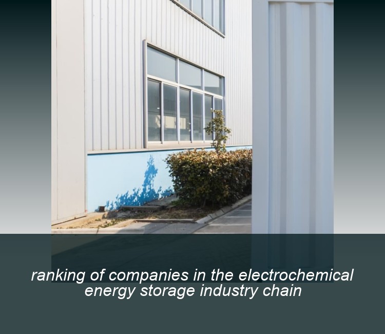 ranking of companies in the electrochemical energy storage industry chain