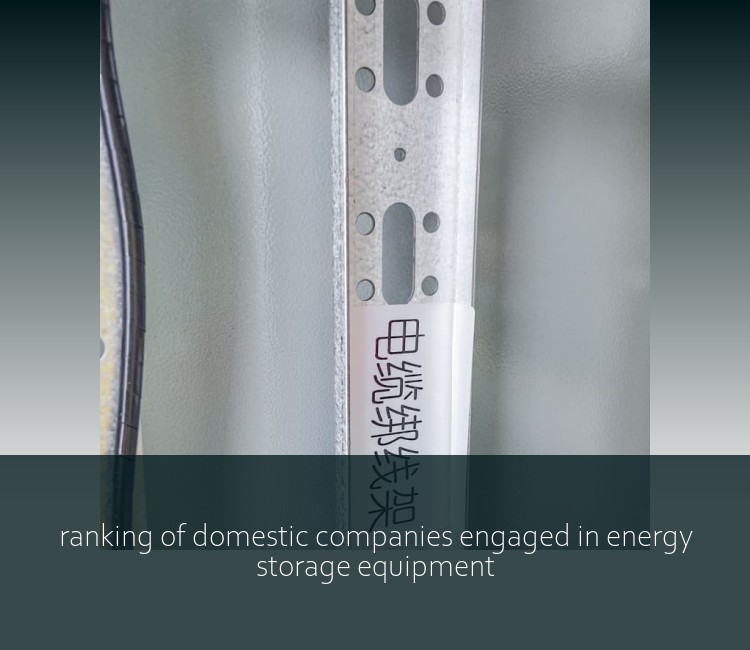 ranking of domestic companies engaged in energy storage equipment