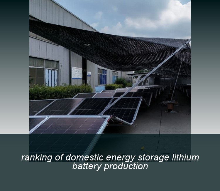 ranking of domestic energy storage lithium battery production