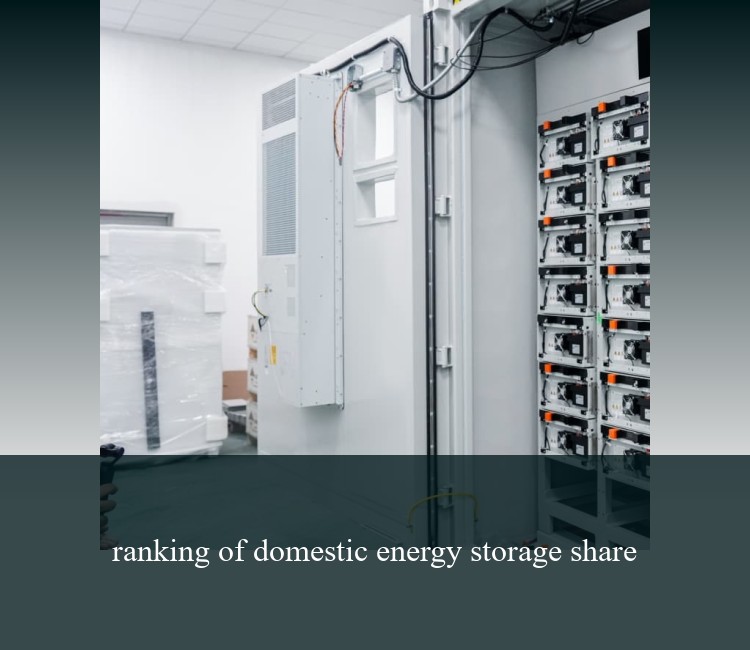 ranking of domestic energy storage share