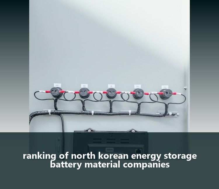 ranking of north korean energy storage battery material companies